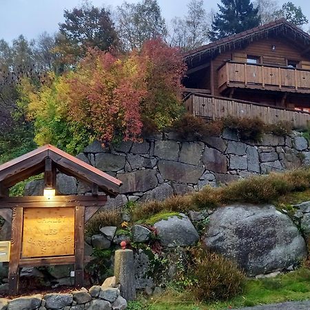 Chalet Typique Vosgien "Les Barbotines" Ventron Eksteriør bilde